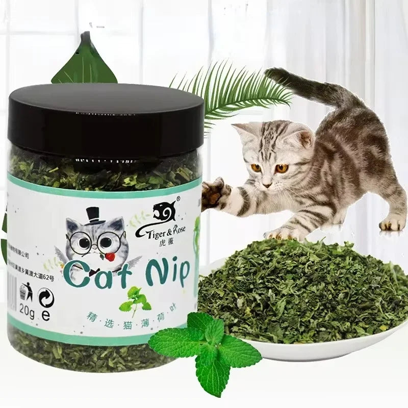 Organic Natural Catnip Mint Cattle Grass Interactive Cat Toy