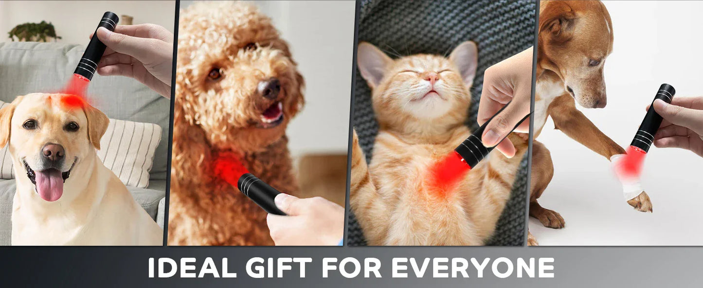 Portable Red Light Therapy Torch – 660nm & 850nm Handheld Pain Relief Wand