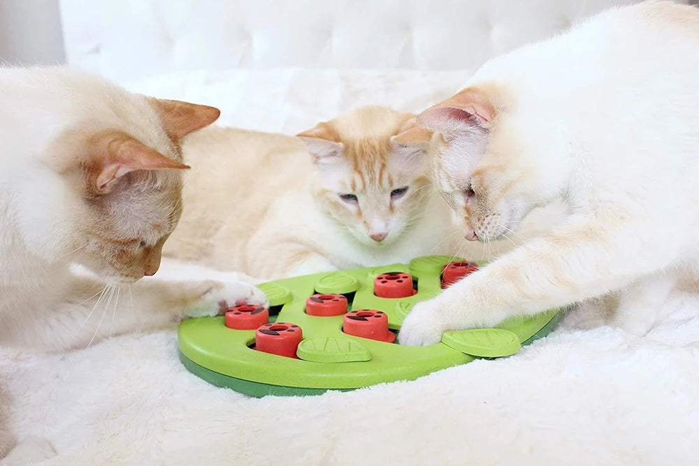 Interactive Cat Puzzle Feeder — Slow Feeder & Scratch Board for Indoor Cats