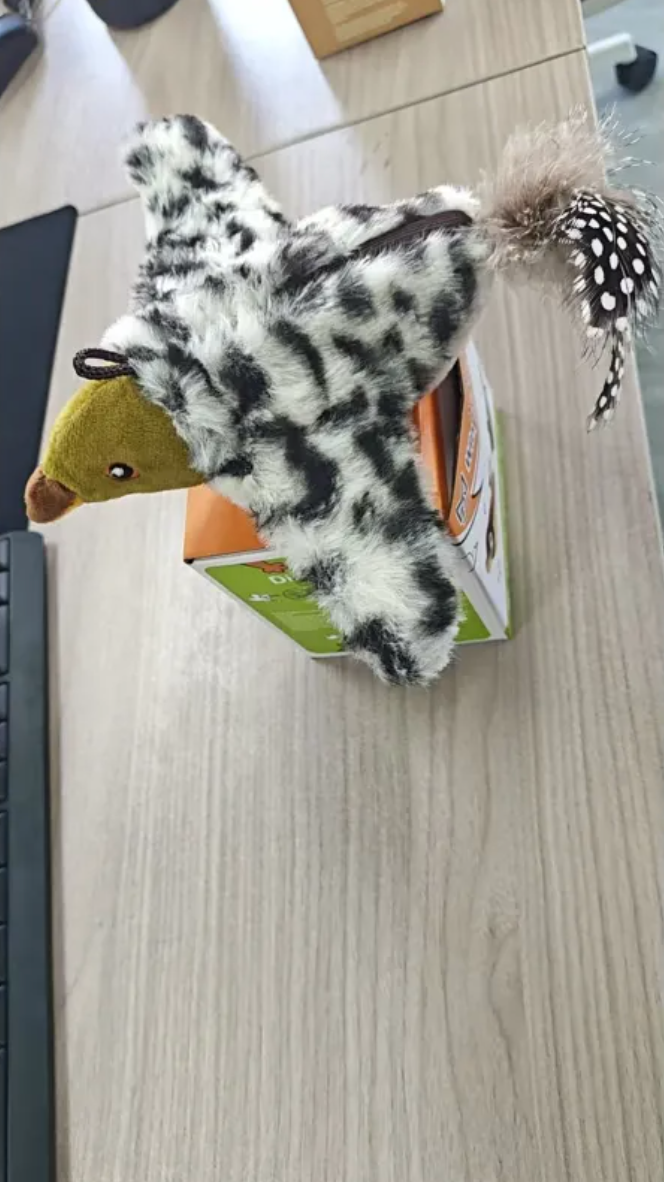 Squeaky Plush Bird Dog Toy – Stuffed Pet Toy
