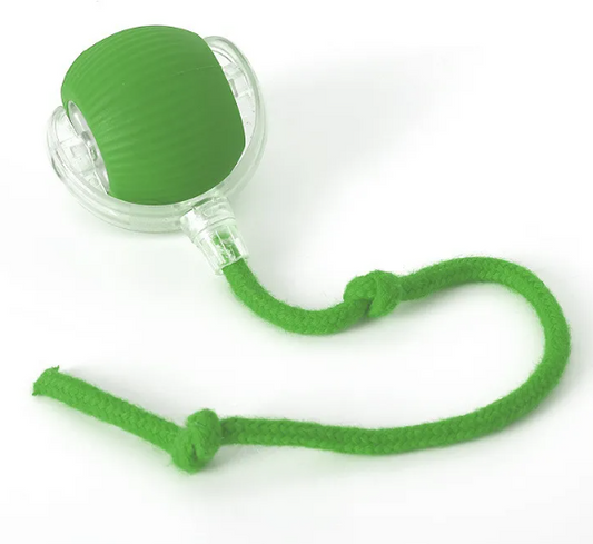 Self-Rolling Interactive Pet Toy Ball – Auto-Moving for Cats & Dogs