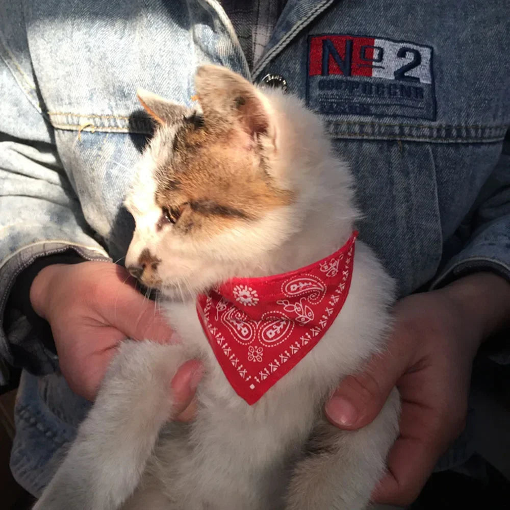 Cute Printed Pet Bandana Collar – Adjustable Triangle Scarf for Kittens & Small Dogs