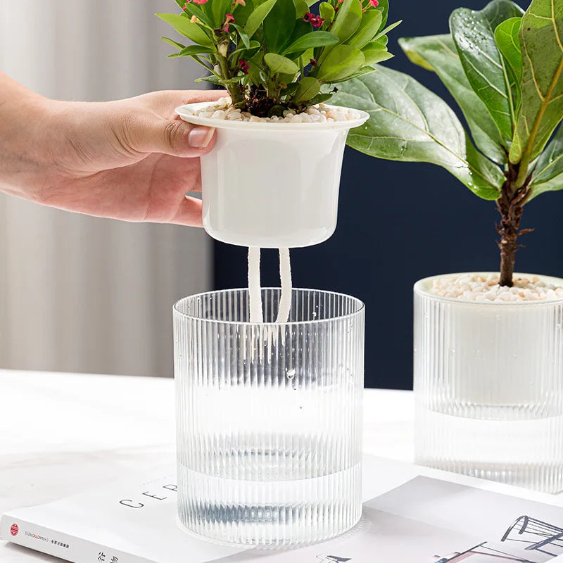 Hydroponic Self-Watering Mini Planter – Fish Tank Tabletop Bonsai Flower Pot