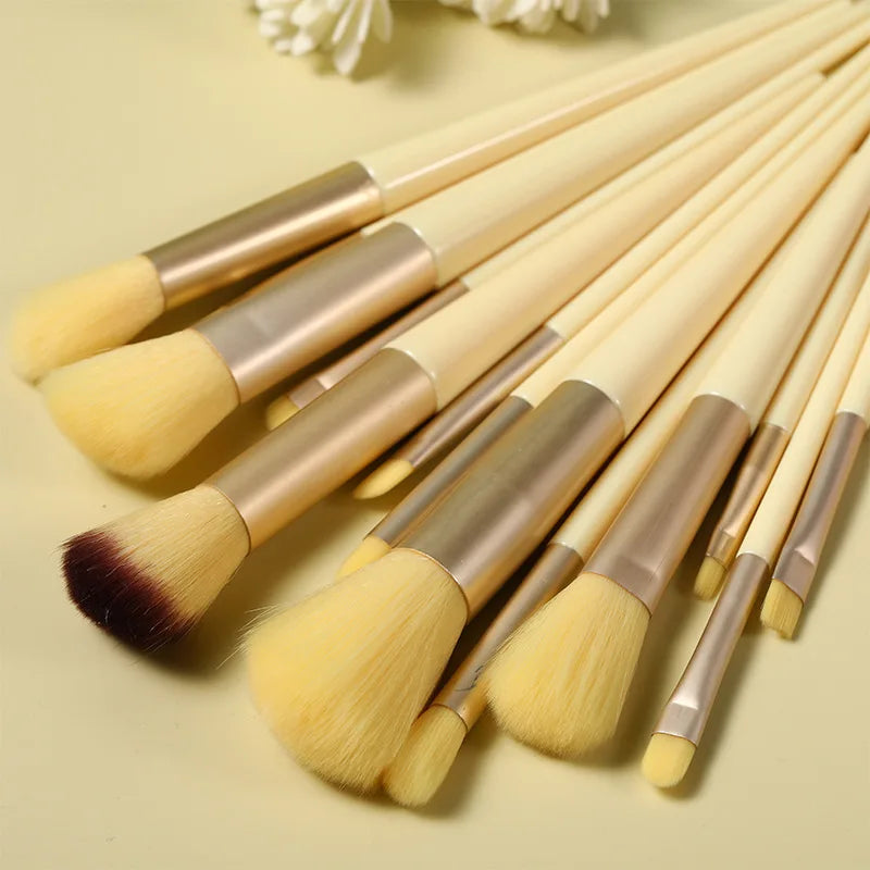 13-Piece Professional Makeup Brush Set – Eye Shadow, Foundation & Blush Brushes