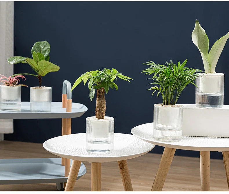 Hydroponic Self-Watering Mini Planter – Fish Tank Tabletop Bonsai Flower Pot