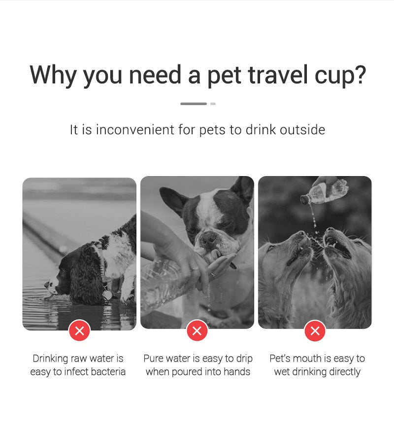 Portable Leakproof Dog Water Bottle – Outdoor Walking Drinking Bowl for Pets