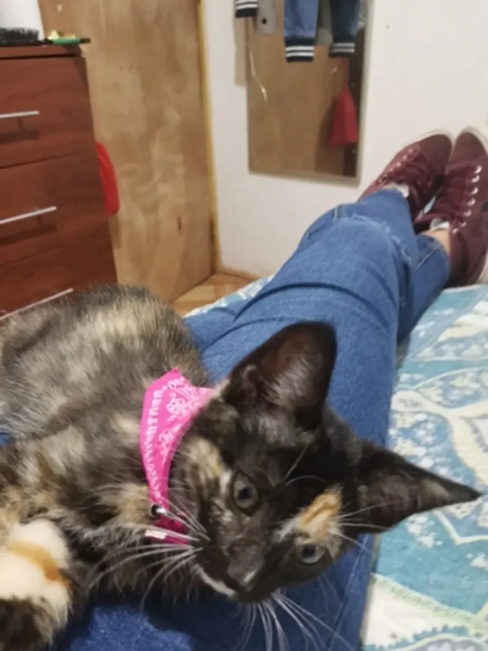 Cute Printed Pet Bandana Collar – Adjustable Triangle Scarf for Kittens & Small Dogs