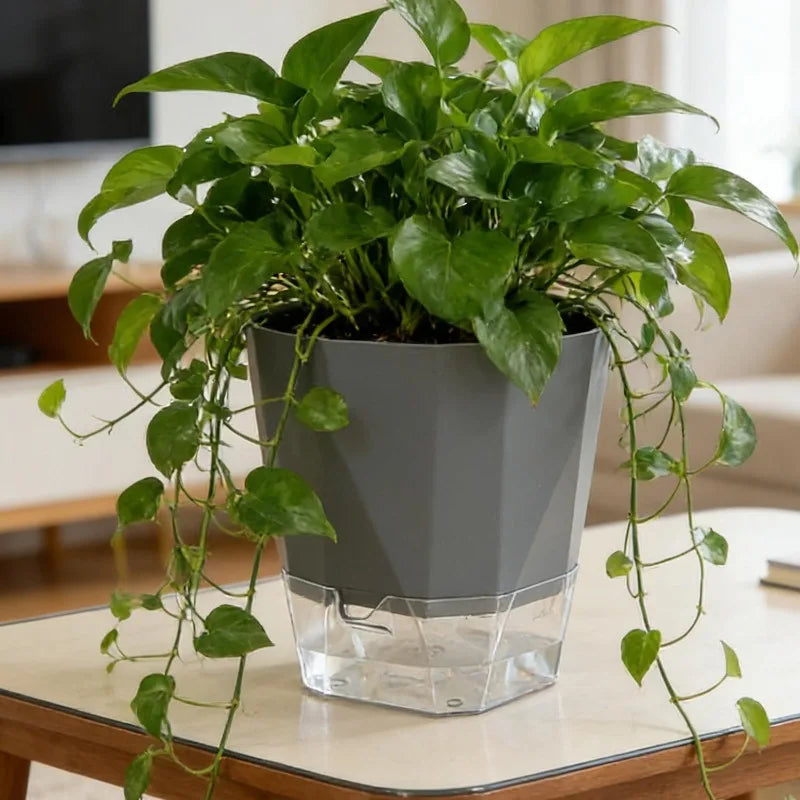 Self-Watering Plant Pot with Clear Reservoir – Breathable Indoor Planter
