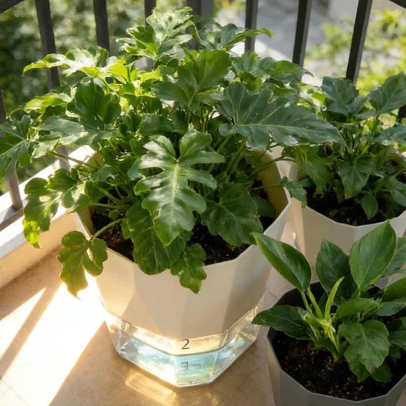 Self-Watering Plant Pot with Clear Reservoir – Breathable Indoor Planter