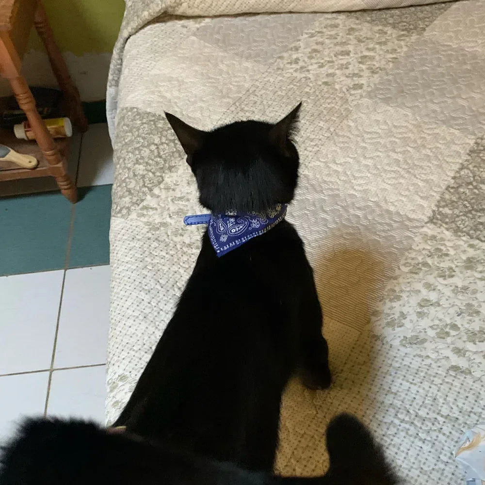 Cute Printed Pet Bandana Collar – Adjustable Triangle Scarf for Kittens & Small Dogs