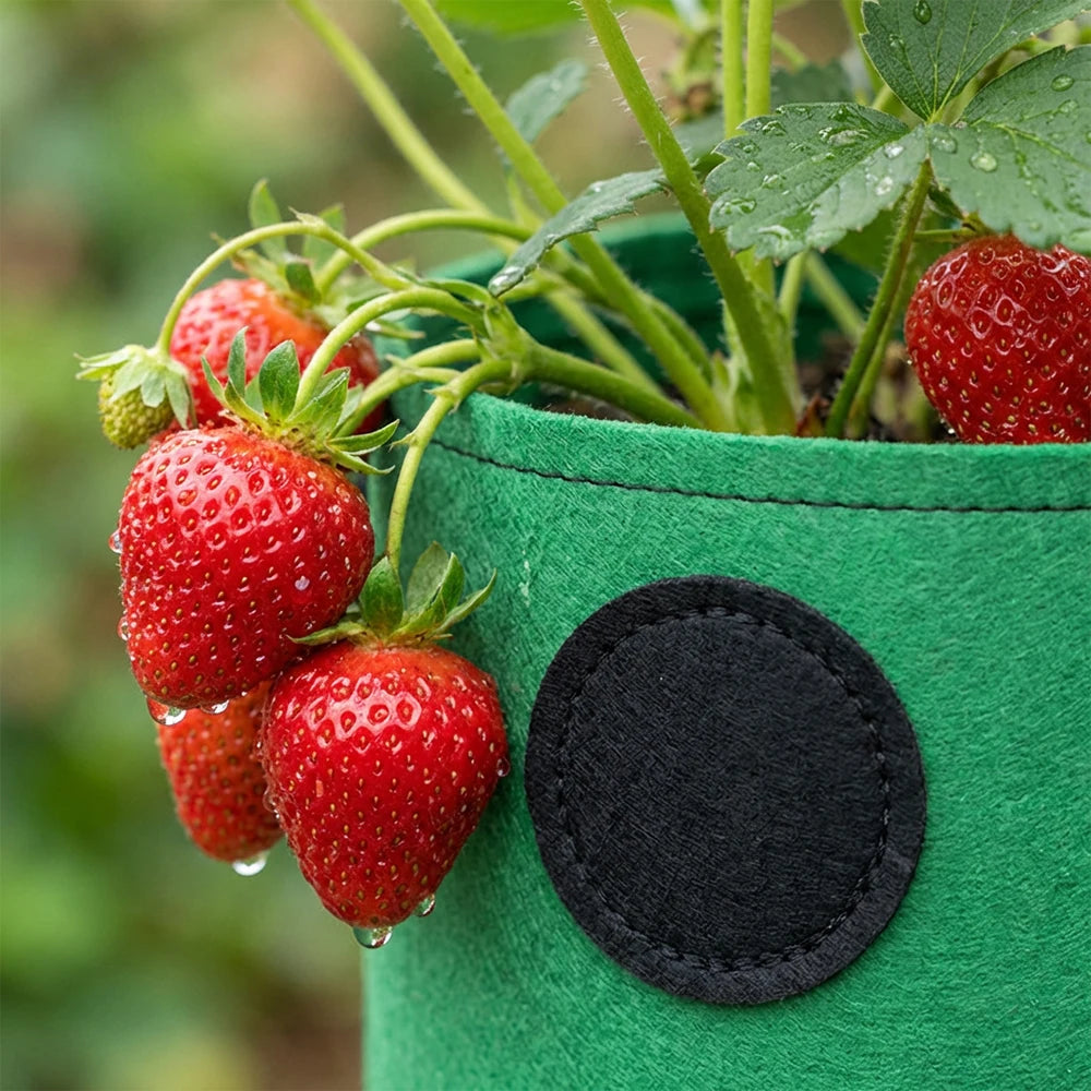 Hanging Grow Bags for Strawberries Tomatoes Hanging Planting Grow Bag Vertical Garden  Strawberry Planter Pot Aeroponic Tower