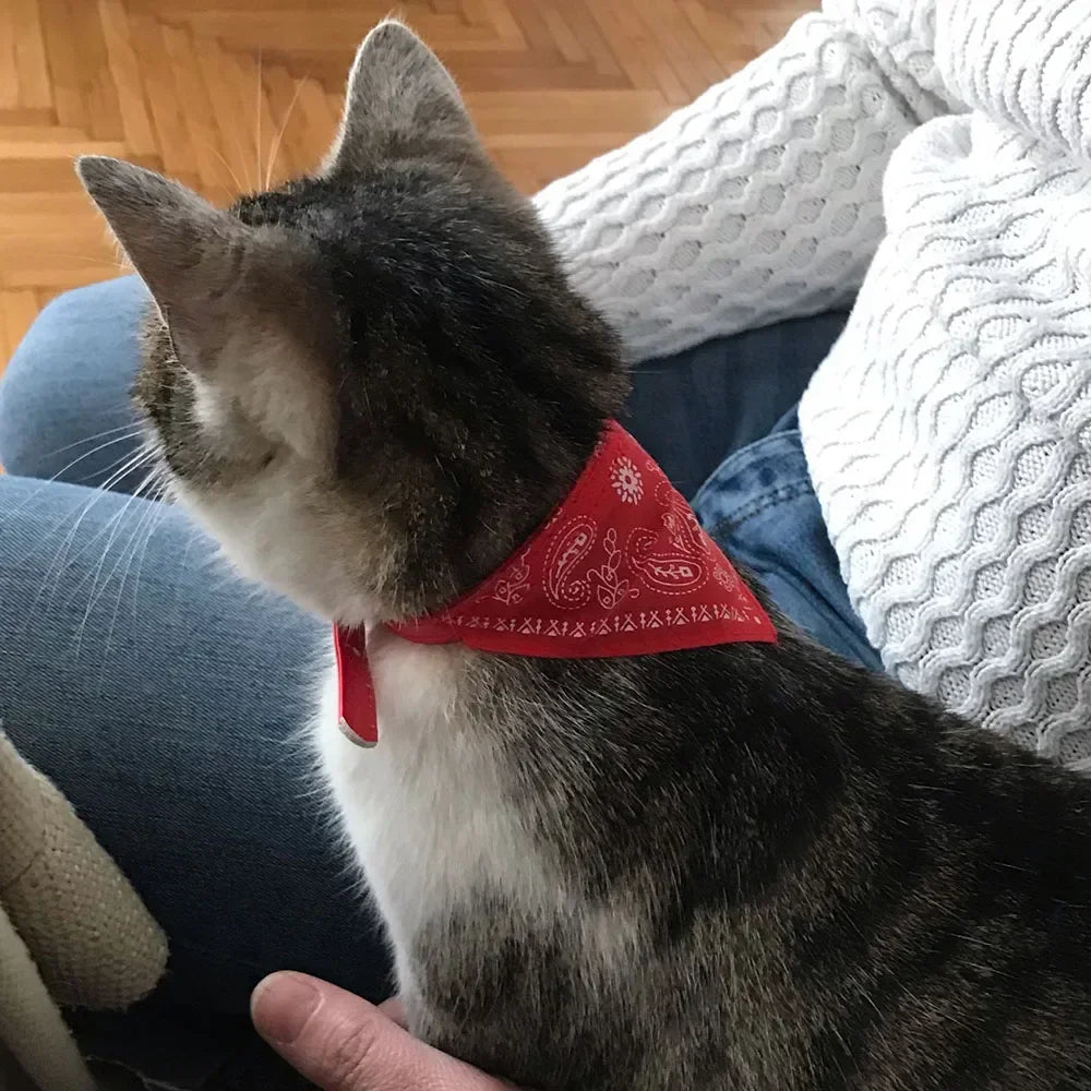 Cute Printed Pet Bandana Collar – Adjustable Triangle Scarf for Kittens & Small Dogs