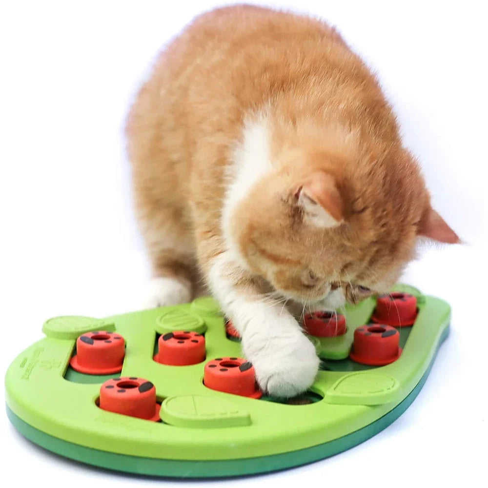Interactive Cat Puzzle Feeder — Slow Feeder & Scratch Board for Indoor Cats