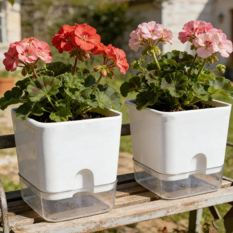 Square Self-Watering Plant Pot – Double Layer Indoor Balcony Flower Pot