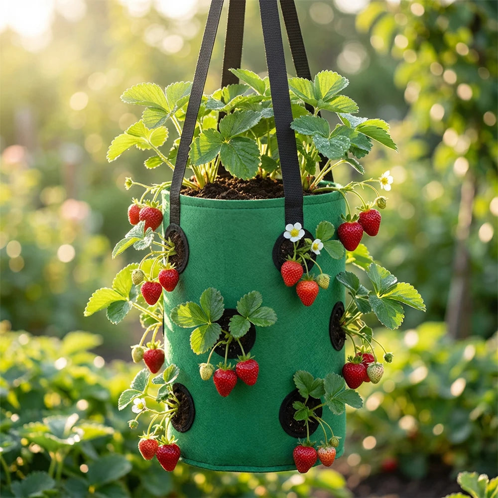 Hanging Grow Bags for Strawberries Tomatoes Hanging Planting Grow Bag Vertical Garden  Strawberry Planter Pot Aeroponic Tower