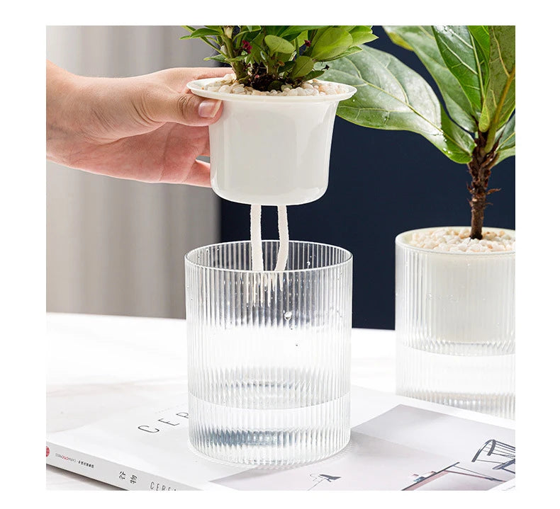 Hydroponic Self-Watering Mini Planter – Fish Tank Tabletop Bonsai Flower Pot