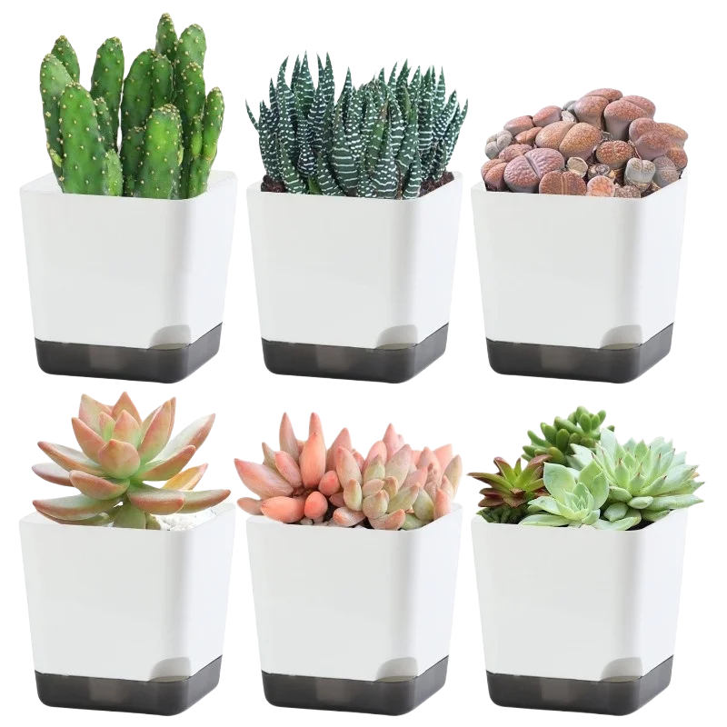 5-Piece Self-Watering Plant Pots with Drainage & Clear Saucer – Indoor & Outdoor Planters
