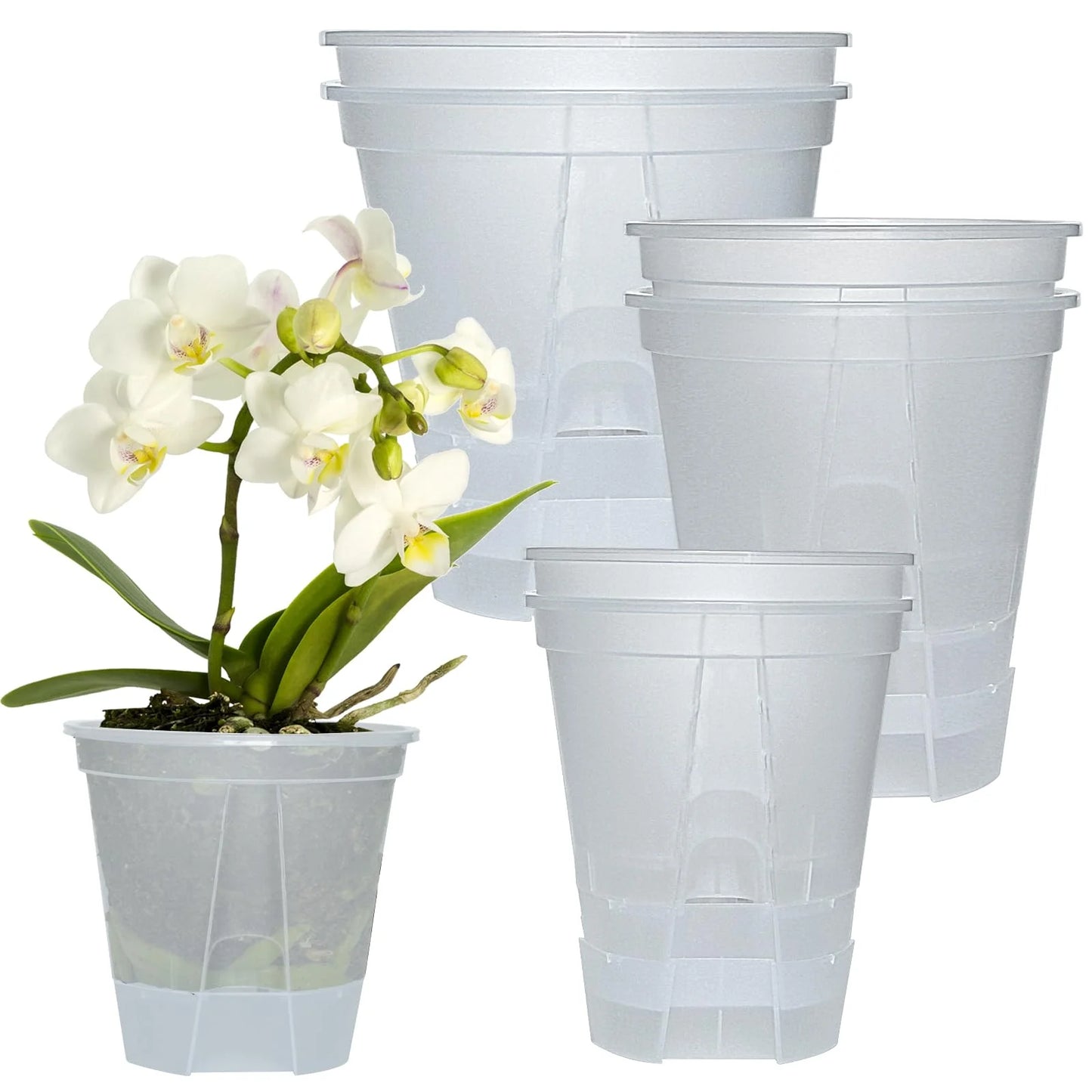 5-Piece Self-Watering Transparent Pots with Reservoir – Indoor Orchid & Bonsai Planters