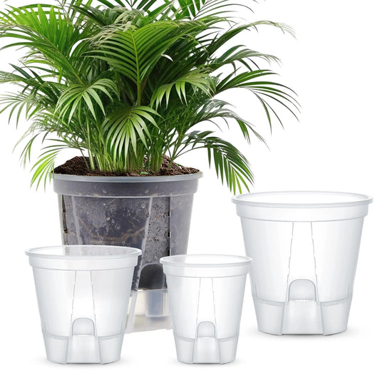 5-Piece Self-Watering Transparent Pots with Reservoir – Indoor Orchid & Bonsai Planters