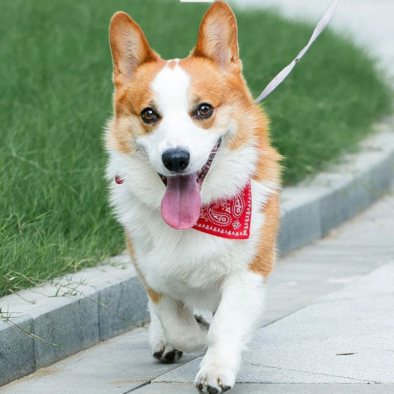 Adjustable Pet Bandana Collar – Knit Fabric Triangle Neckerchief for Dogs & Cats