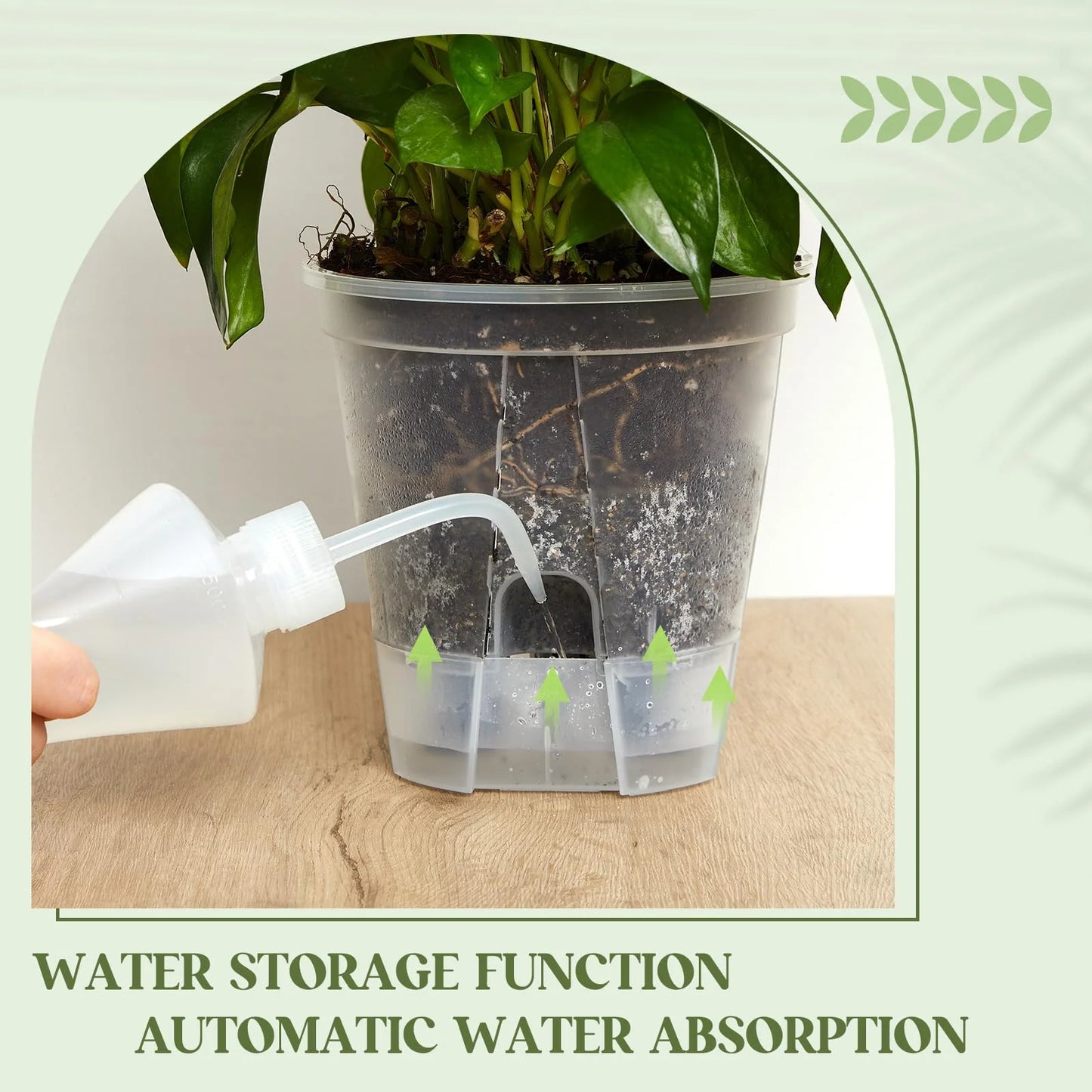 5-Piece Self-Watering Transparent Pots with Reservoir – Indoor Orchid & Bonsai Planters