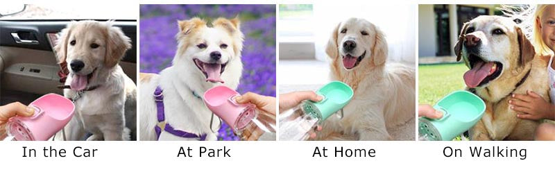 Portable Leakproof Dog Water Bottle – Outdoor Walking Drinking Bowl for Pets