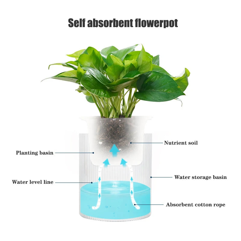 Hydroponic Self-Watering Mini Planter – Fish Tank Tabletop Bonsai Flower Pot