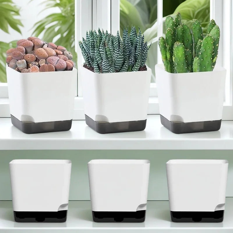 5-Piece Self-Watering Plant Pots with Drainage & Clear Saucer – Indoor & Outdoor Planters
