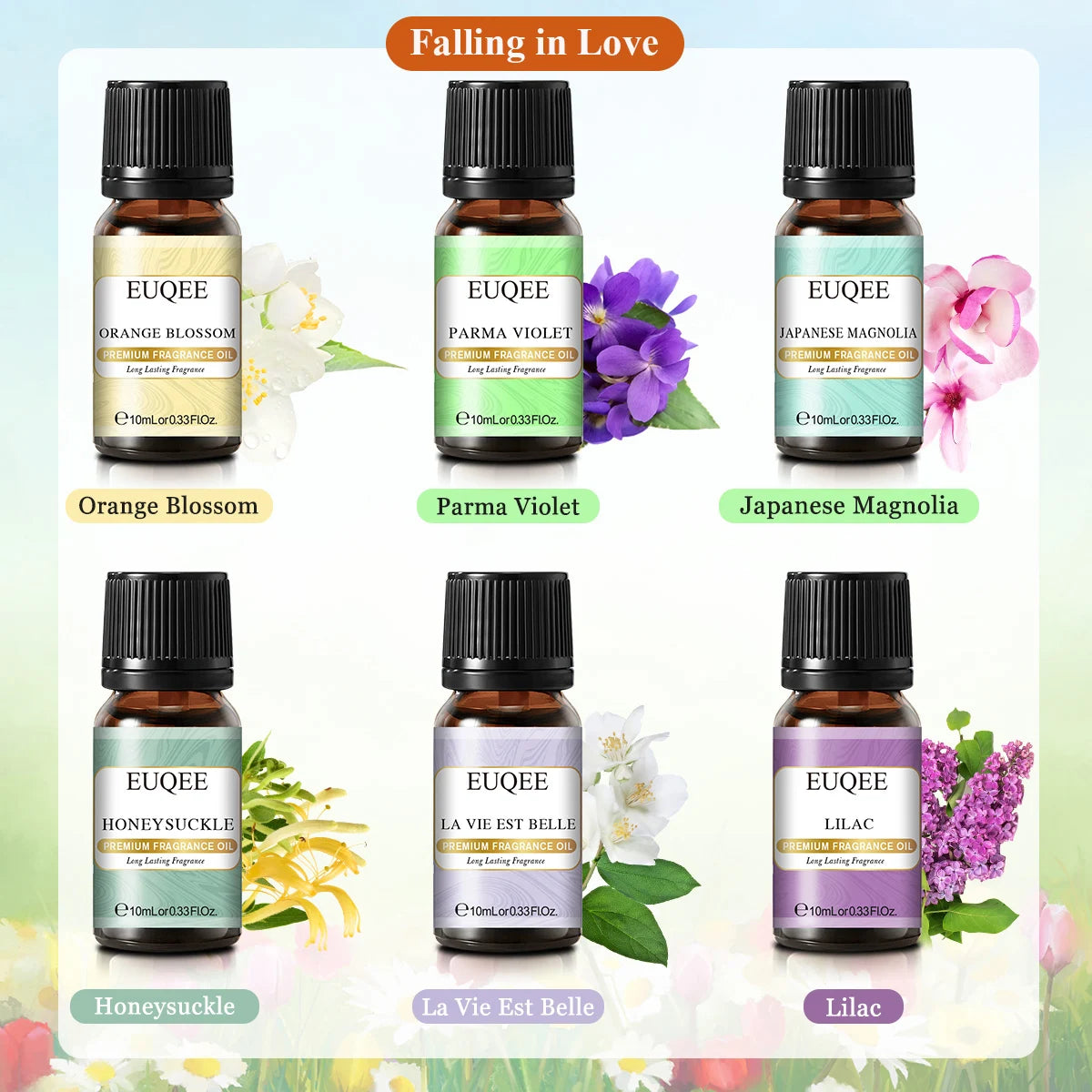 6-Piece Fragrance Oil Gift Kit – Coffee, Bakery, Harvest Spice & Forest Aroma Oils