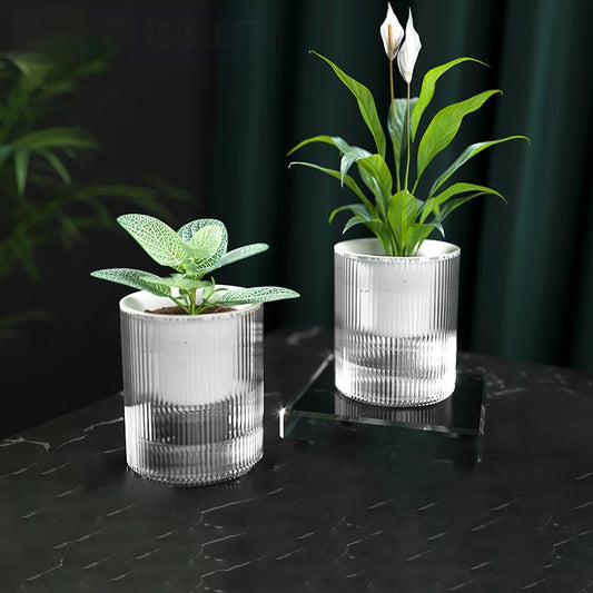 Hydroponic Self-Watering Mini Planter – Fish Tank Tabletop Bonsai Flower Pot