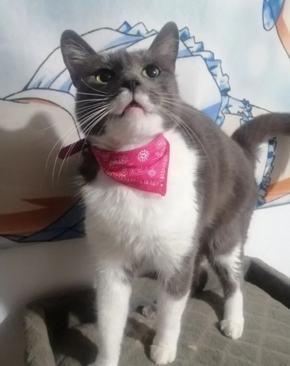 Cute Printed Pet Bandana Collar – Adjustable Triangle Scarf for Kittens & Small Dogs