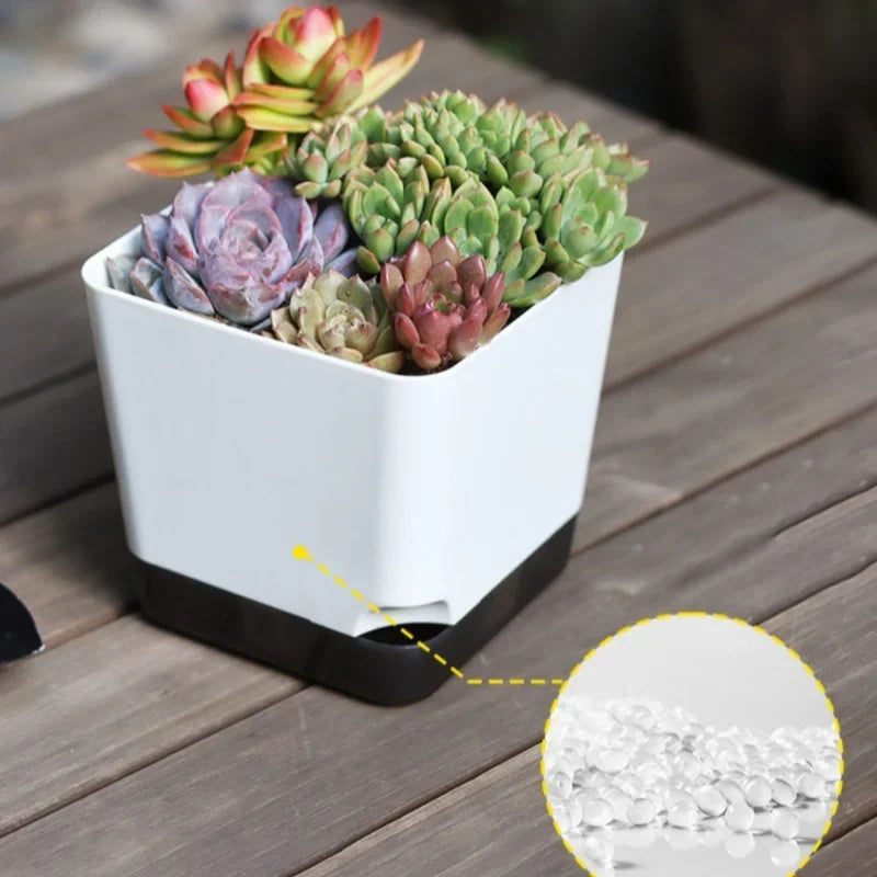 5-Piece Self-Watering Plant Pots with Drainage & Clear Saucer – Indoor & Outdoor Planters
