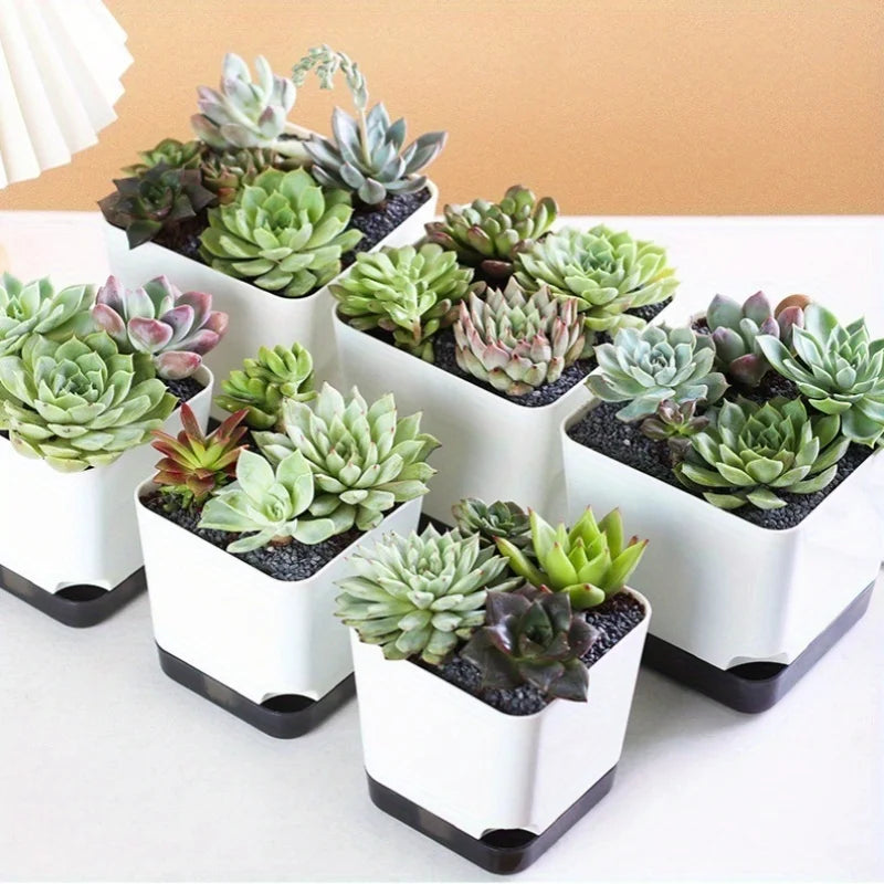 5-Piece Self-Watering Plant Pots with Drainage & Clear Saucer – Indoor & Outdoor Planters
