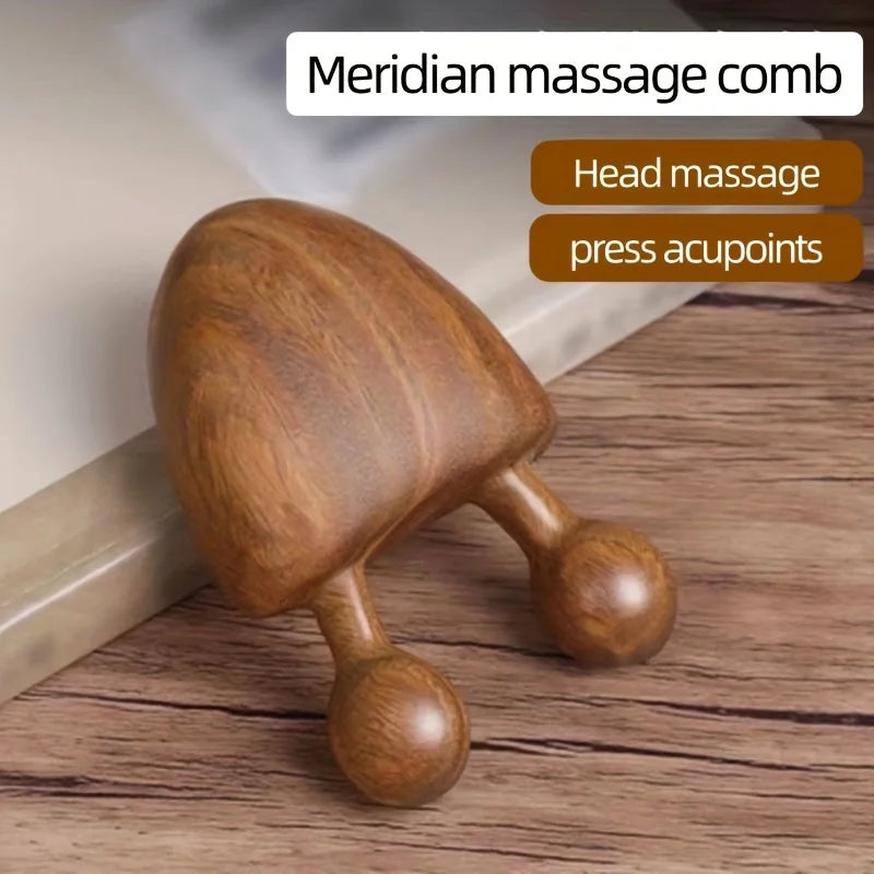 Sandalwood Snail Facial Meridian Massager – Eye Relief & Nose Contour Tool