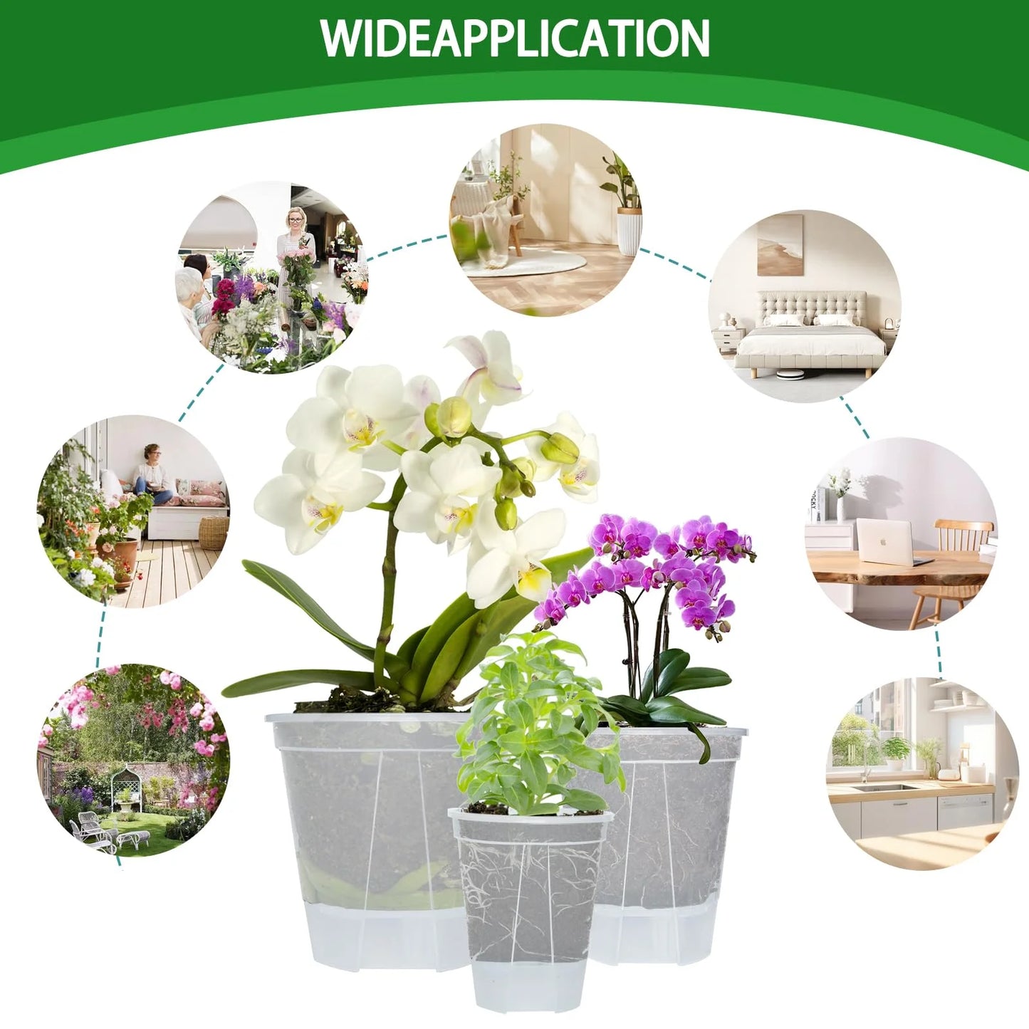 5-Piece Self-Watering Transparent Pots with Reservoir – Indoor Orchid & Bonsai Planters