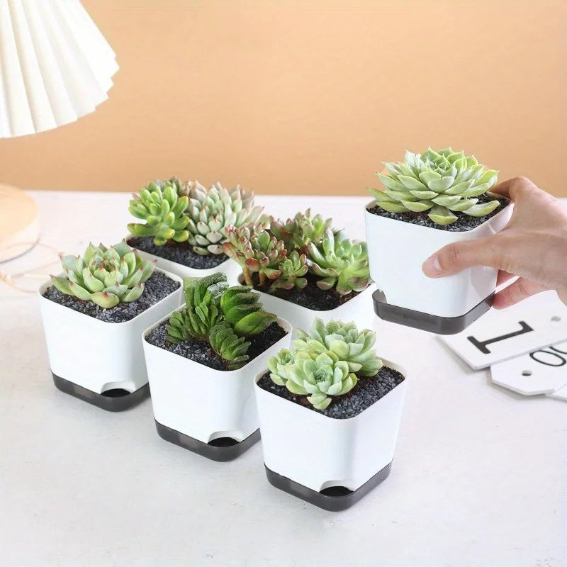 5-Piece Self-Watering Plant Pots with Drainage & Clear Saucer – Indoor & Outdoor Planters