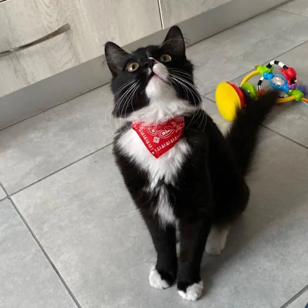 Cute Printed Pet Bandana Collar – Adjustable Triangle Scarf for Kittens & Small Dogs