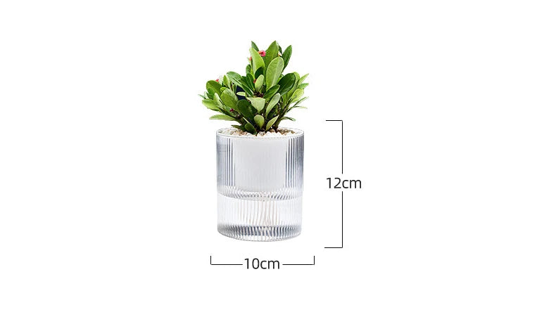 Hydroponic Self-Watering Mini Planter – Fish Tank Tabletop Bonsai Flower Pot