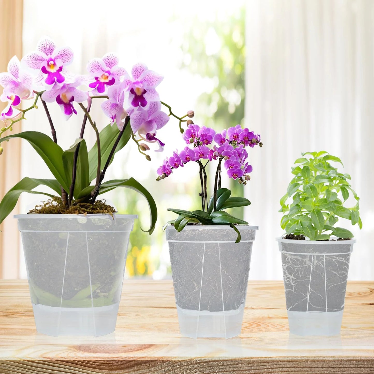 5-Piece Self-Watering Transparent Pots with Reservoir – Indoor Orchid & Bonsai Planters