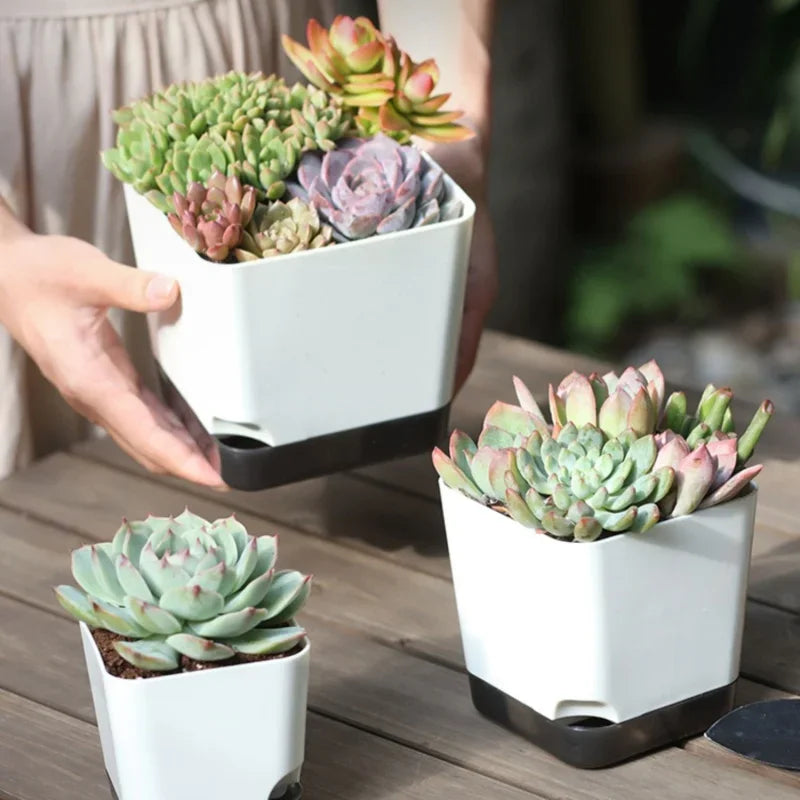 5-Piece Self-Watering Plant Pots with Drainage & Clear Saucer – Indoor & Outdoor Planters