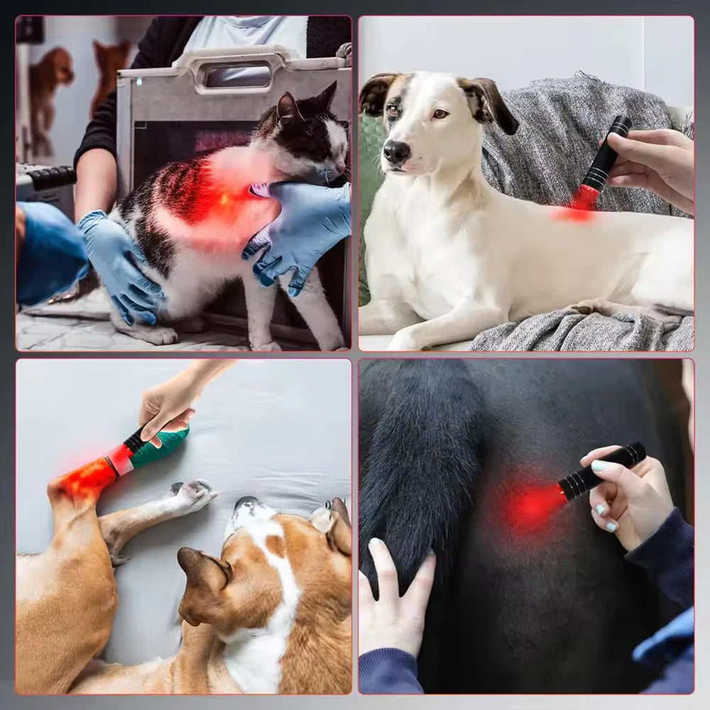 Portable Red Light Therapy Torch – 660nm & 850nm Handheld Pain Relief Wand
