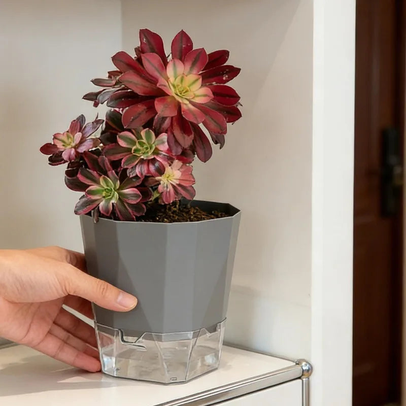 Self-Watering Plant Pot with Clear Reservoir – Breathable Indoor Planter