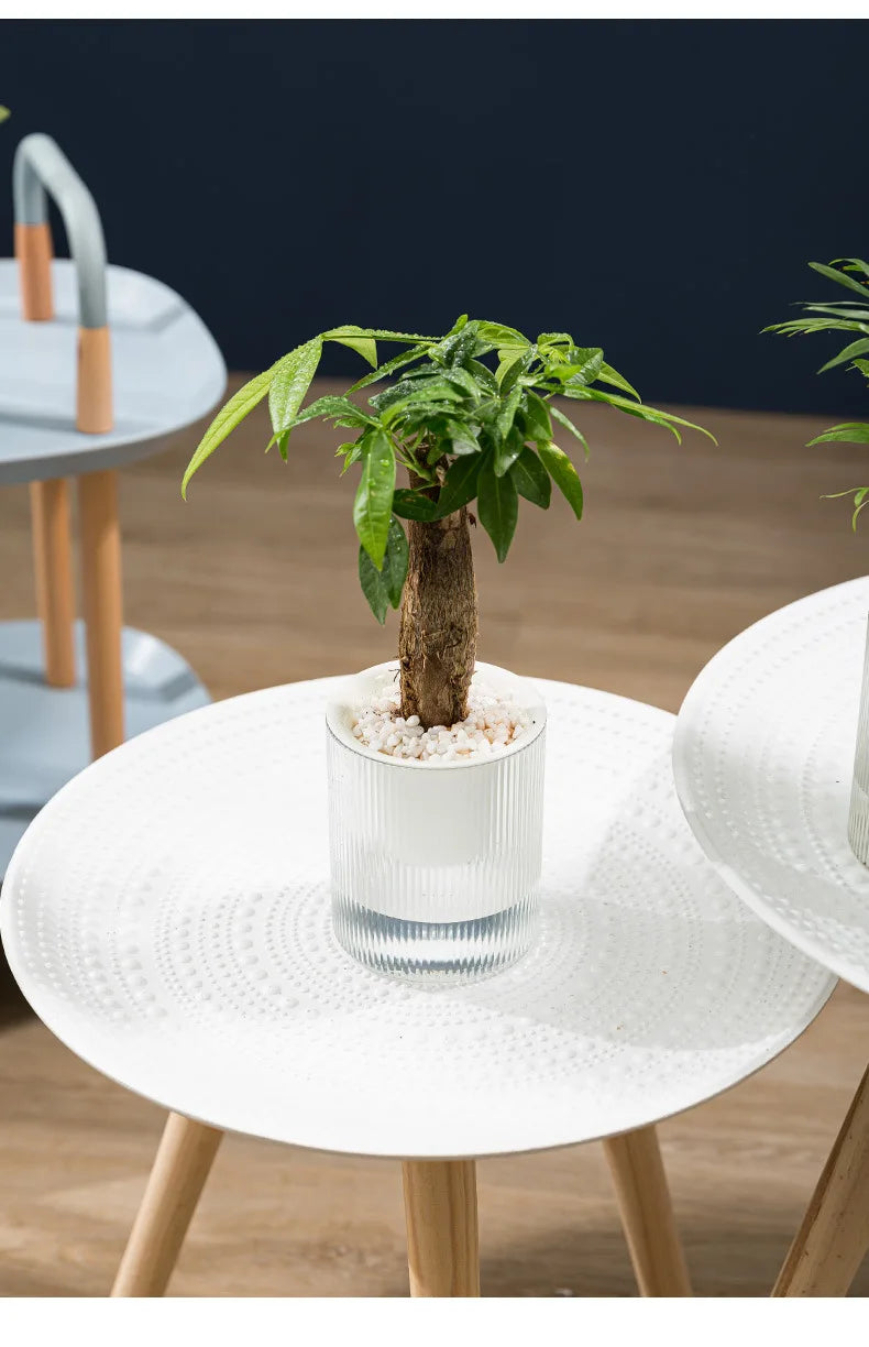 Hydroponic Self-Watering Mini Planter – Fish Tank Tabletop Bonsai Flower Pot