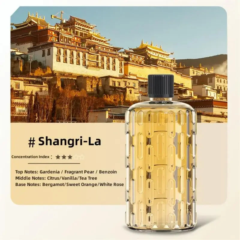 Aroma Diffuser Humidifier – Fragrance Essential Oil Aromatherapy Machine for Home & Hotel