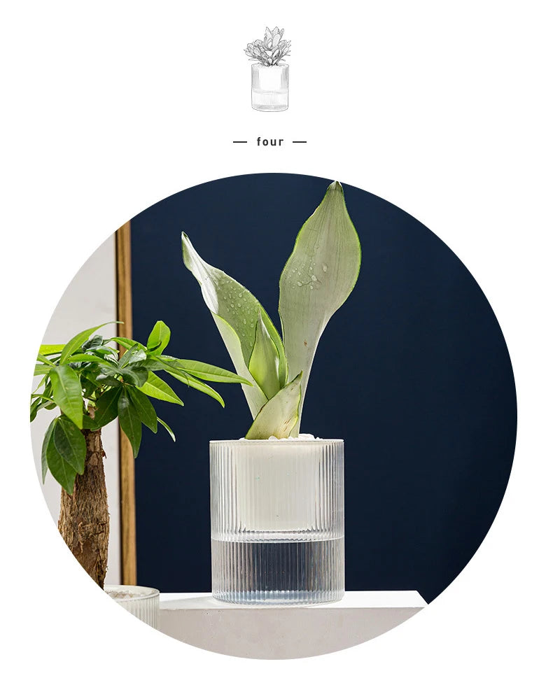 Hydroponic Self-Watering Mini Planter – Fish Tank Tabletop Bonsai Flower Pot