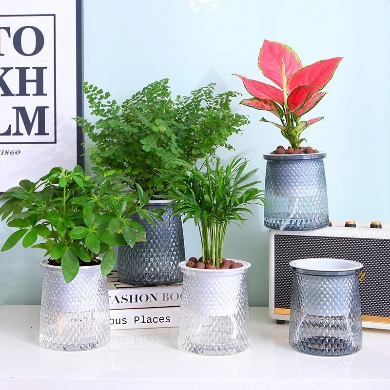 Lazy Hydroponic Self-Watering Flower Pot – Mini Succulent Indoor Planter Vase