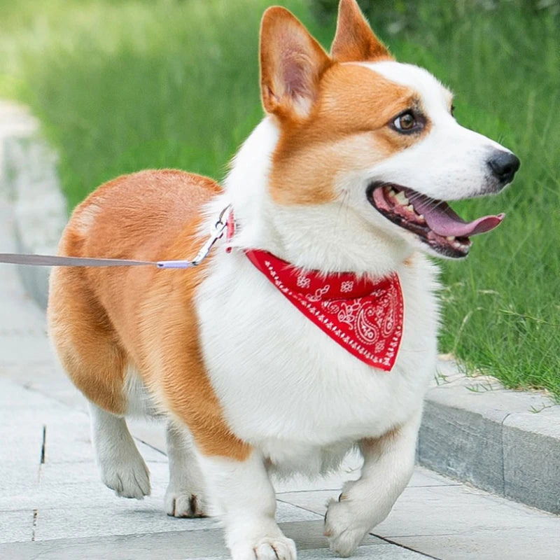 Adjustable Pet Bandana Collar – Knit Fabric Triangle Neckerchief for Dogs & Cats