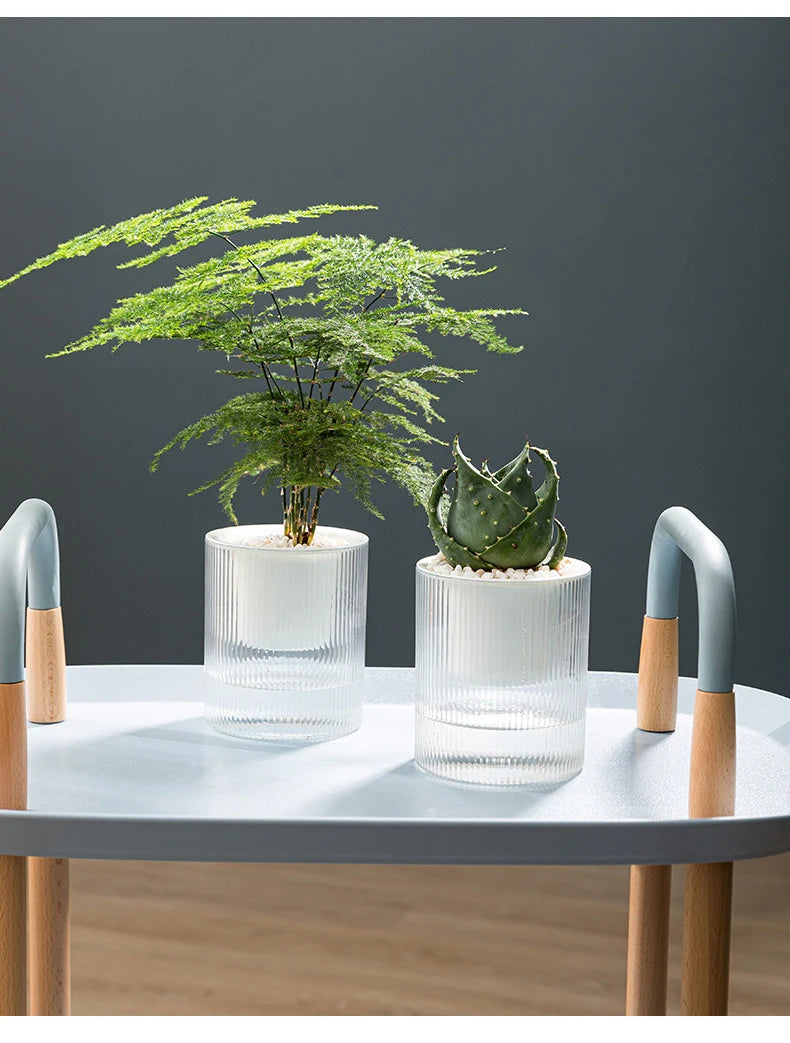 Hydroponic Self-Watering Mini Planter – Fish Tank Tabletop Bonsai Flower Pot
