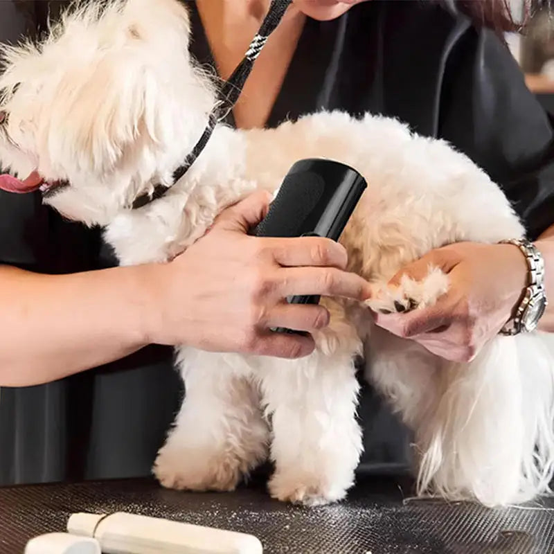 Professional Pet Deshedding Brush — Self-Cleaning Grooming Tool for Dogs & Cats