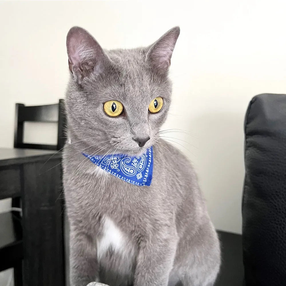 Cute Printed Pet Bandana Collar – Adjustable Triangle Scarf for Kittens & Small Dogs